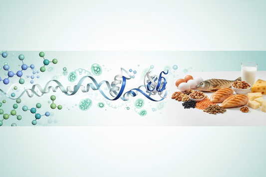 The Truth About Protein: How Much Do You Really Need?