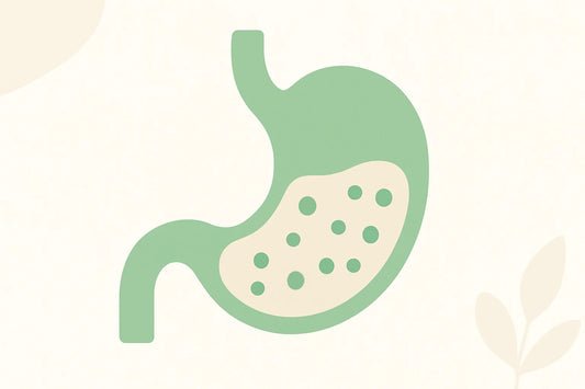 minimal illustration showing a stomach icon with small friendly bacteria representing gut health in a clean medical style